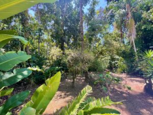 Imóvel à venda na Riviera de São Lourenço — foto 4