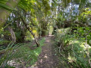 Imóvel à venda na Riviera de São Lourenço — foto 6
