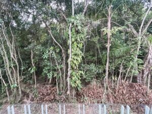 Imóvel à venda na Riviera de São Lourenço — foto 6